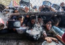 Food for Gaza decays in Jordan warehouses as Israel restricts aid